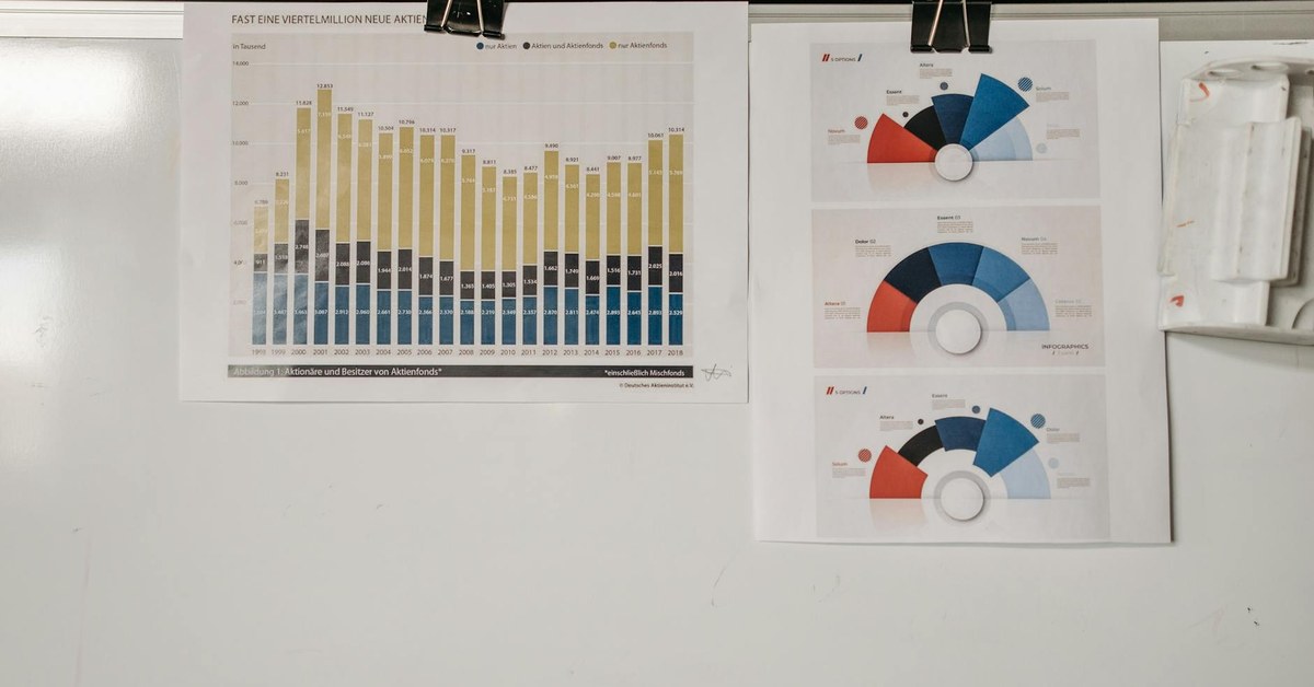 Business Efficiency Assessment: The Australian Perspective