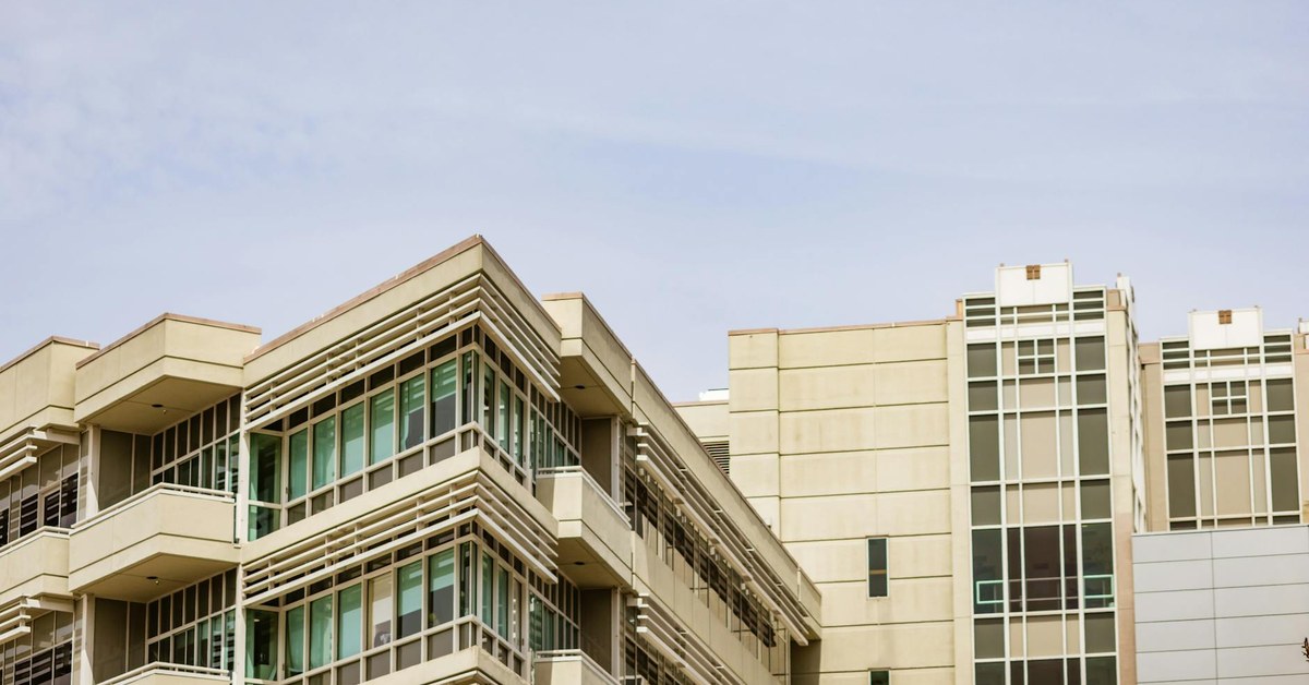 Decision Fatigue in Property Management Companies: A Senior Adviser Perspective