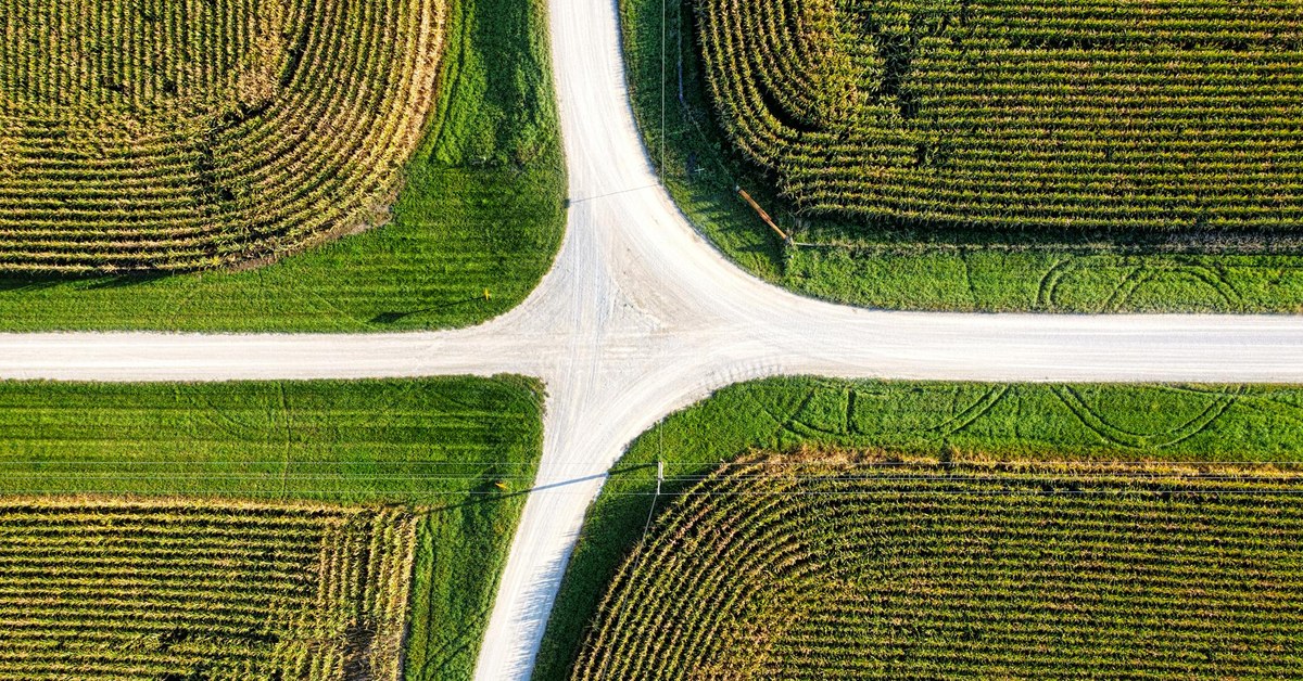 Decision Fatigue Is Real and It's Destroying Your Afternoons