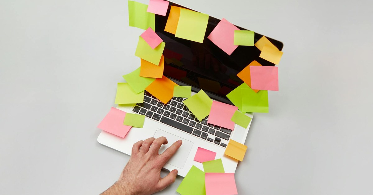 Efficiency Assessment for CEOs: What the Data Shows