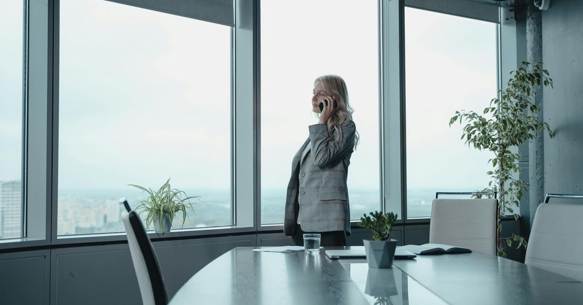 The Strategic Imperative: Mastering the Founder to CEO Transition