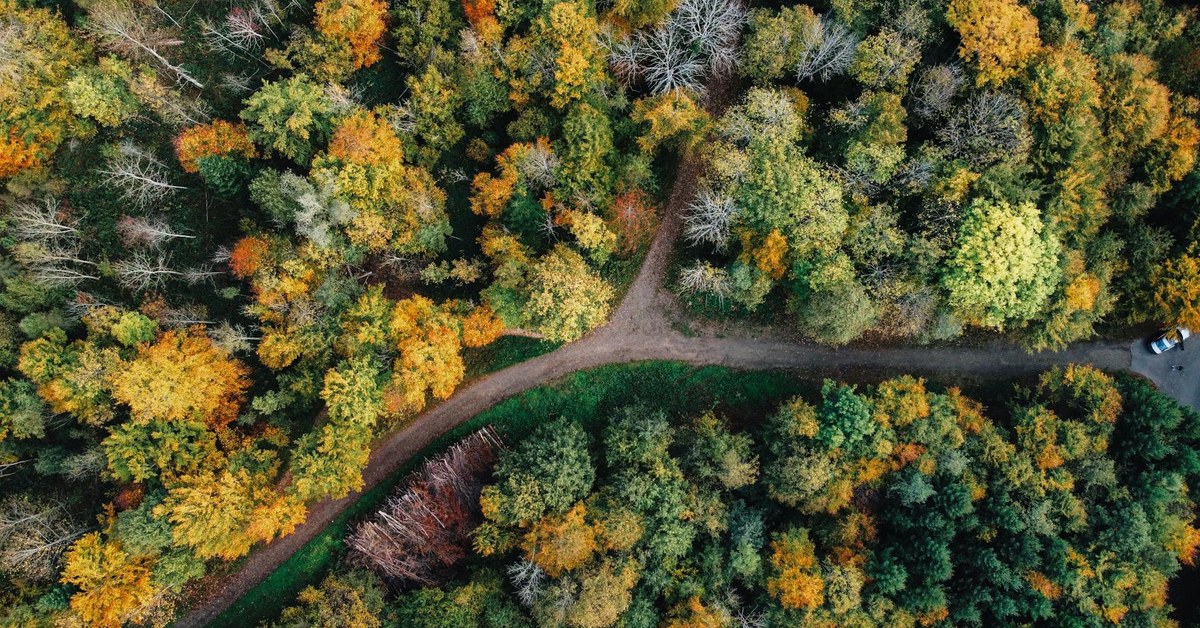 How to Speed Up Business Decisions Without Being Reckless