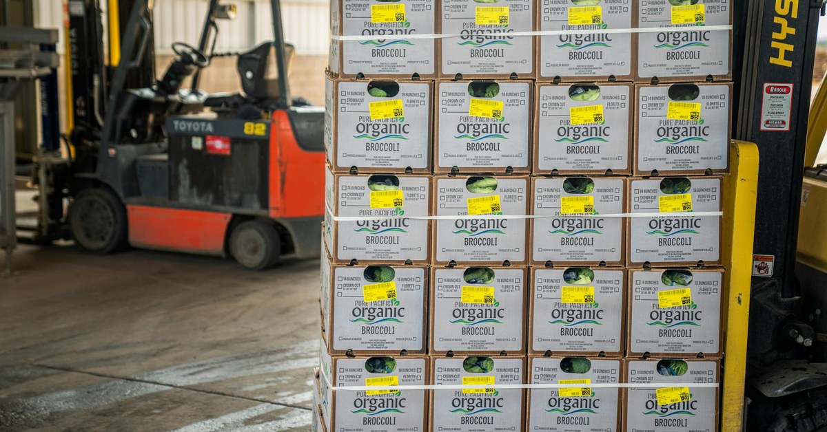 The Unseen Cracks: Why Scaling Operations in Logistics Companies Often Leads to Collapse