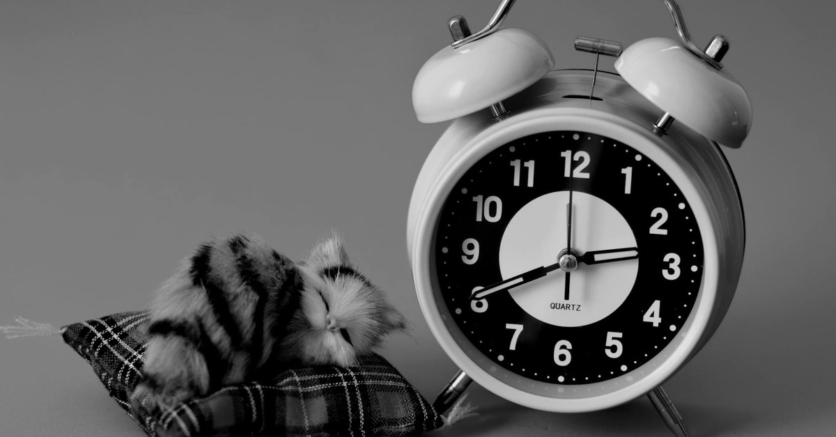 The Before-and-After Time Audit Transformation