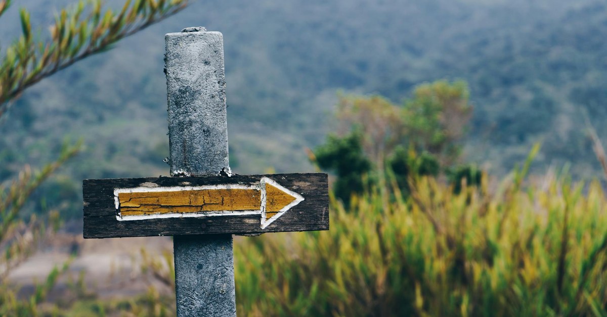 The Default Decision Framework: Pre-Making Choices to Save Energy