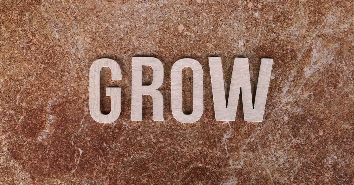 The Founder Bottleneck in Growing Companies